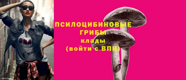 ПСИЛОЦИБИНОВЫЕ ГРИБЫ Аркадак