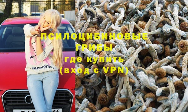 ПСИЛОЦИБИНОВЫЕ ГРИБЫ Аркадак