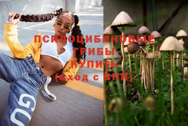 ПСИЛОЦИБИНОВЫЕ ГРИБЫ Аркадак